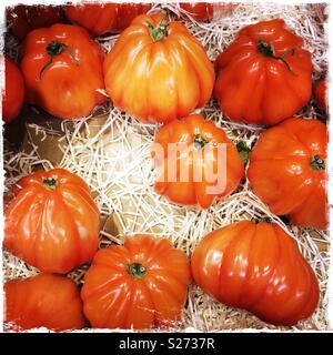 Marmande tomatoes for sale Stock Photo