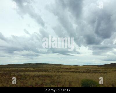 Landscape view of semi arid Karoo vegetation against backdrop of moody sky with grey clouds on Autumn day in South Africa Stock Photo