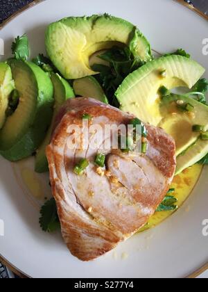 Seared tuna and avocado entrée, USA Stock Photo