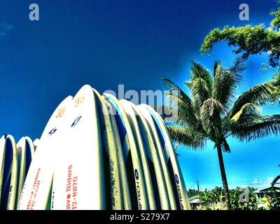 Surfboards await under tropical palms for the next eager riders in north shore Kauai, Hawaii paradise