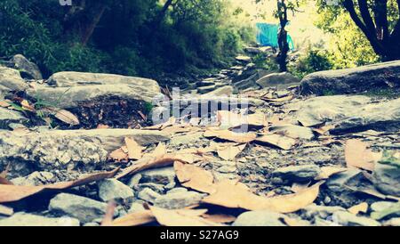 Trekking and camping at triund, mcleodganj, himachal pradesh, india Stock Photo