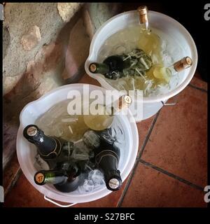 Wine cooling in ice buckets, Catalonia, Spain. Stock Photo