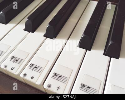 Piano keys with musical notes as a help for learners Stock Photo