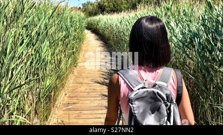 A female hiker walks along a wooden trail surrounded by tall grass Stock Photo