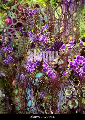 Abstract purple flowers Stock Photo