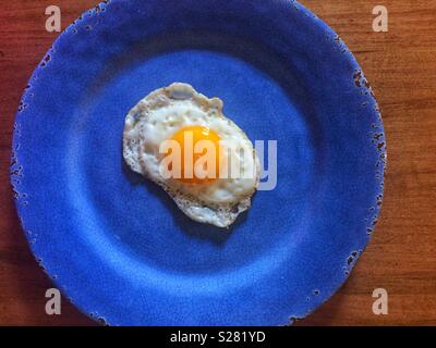 Single fried egg on blue plate Stock Photo