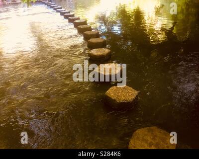Stepping Stones across the River Mole at the foot of Box Hill in Surrey. Spring. Stock Photo