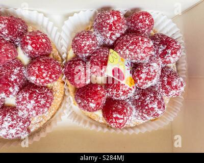 Closeup of two raspberry tarts viewed from above. Stock Photo