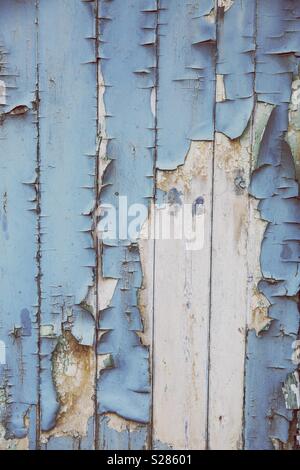 A textured background of peeling and blistering blue paint on rotten planks of wood with copy space Stock Photo