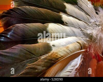 Close up of eagle feather headdress from native American tribal chief, Montana, USA Stock Photo