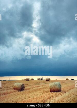 Hay bales in field beneath blue sky Stock Photo - Alamy