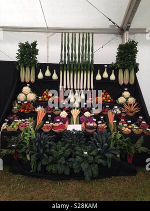 A Display of Prize Winning Vegetables at the Royal Welsh Show 2018 Stock Photo