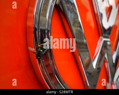 Bug on a bug. A dead fly is stuck to the front of a silver VW camper van logo Stock Photo