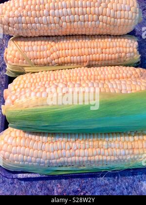 Close up of freshly shucked corn on the cob, USA Stock Photo