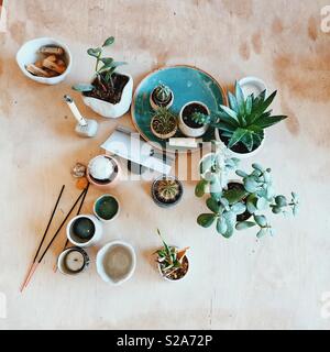 Scandinavian flatlay featuring handmade pottery and succulents Stock Photo