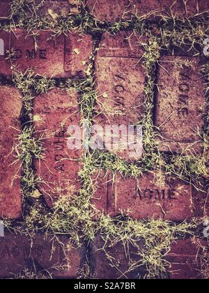 Brick walkway with overgrown grass Stock Photo