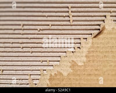 Close up view of a ripped cardboard. Packaging and cardboard box Stock Photo