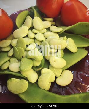 Still life of Dr. Martin heirloom lima beans and tomatoes, USA