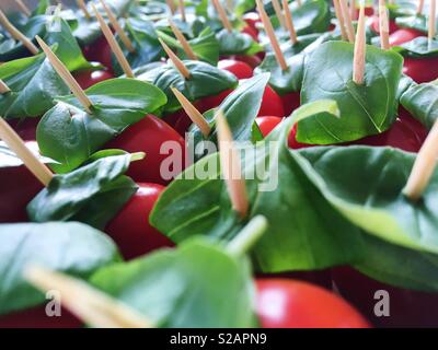Fresh cherry tomatoes with leaves of basil on toothpicks Stock Photo