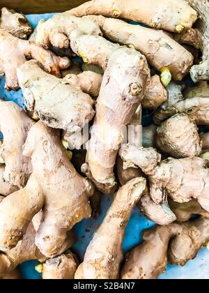 Fresh ginger roots Stock Photo