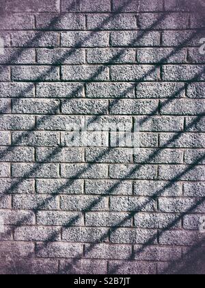 Shadows on a grey brick wall. Stock Photo