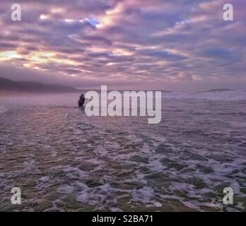 Angler fishing for Bass in the surf at Llangennith, Gower, Wales. Stock Photo