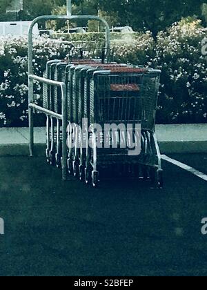 Shopping carts - a bunch of shopping carts lined up in the parking lot of the grocery store Stock Photo