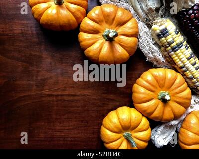 Fall decor on a dark wood table with copy space Stock Photo