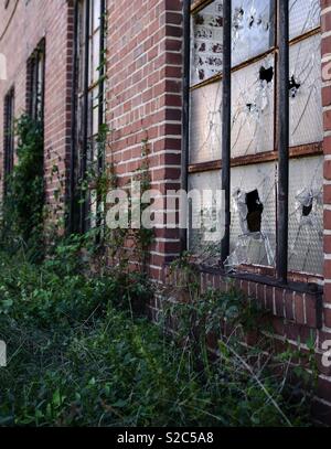 Angled shot of the broken glass window of an old dilapidated brick building that is being overtaken by weeds and vines. Stock Photo