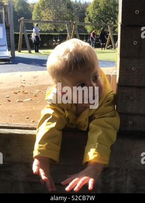 Peek a boo toddler boy in park Stock Photo