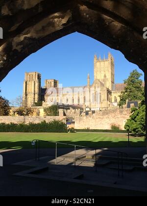 View of Wells Cathedral from the Bishop’s Palace Stock Photo