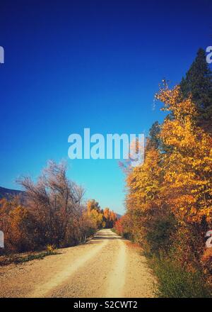 Autumn landscape of fall foliage covered trees lining a path on a sunny day. Blue sky above. Room for text. Stock Photo