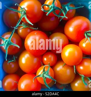 Fresh cherry tomatoes in a cardboard punnet Stock Photo