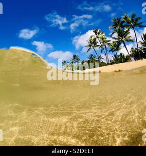 Over under in the ocean of palm trees on the beach. Hanalei, Kauai, Hawaii. Stock Photo