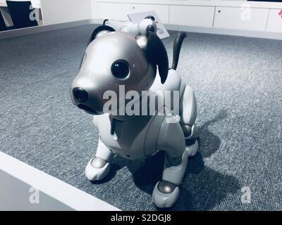 “Puppy love” - Sony Aibo Robot Dog - Japan robotic pet Stock Photo