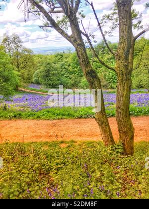 Clent hills in spring Stock Photo