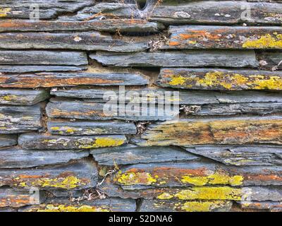 Cornish slate drystone wall with lichen growing. Stock Photo