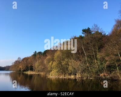 Autumn calm, in ‘One of the prettiest spots in all England.’ Bracebridge Pool, Sutton Park, the Royal Town of Sutton Coldfield. Stock Photo