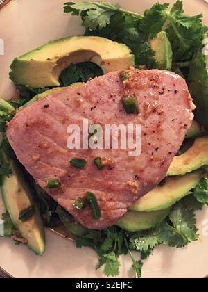 Gourmet entrée of seared tuna and avocado slices on a bed of cilantro. Stock Photo