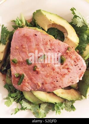Gourmet entrée of seared yellowfin tuna on a bed of cilantro and fresh slices of avocado Stock Photo