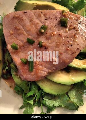 Gourmet entrée of seared tuna and slices of avocado on a bed of cilantro Stock Photo