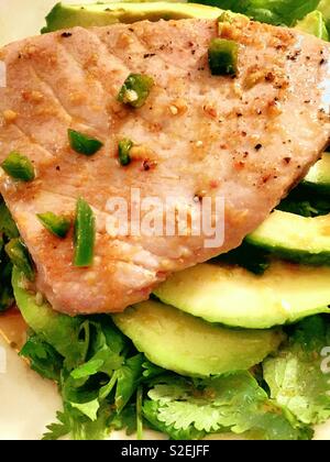 Gourmet entrée of seared tuna and sliced avocados on a bed of cilantro Stock Photo