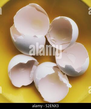Broken white eggshells in a yellow bowl Stock Photo