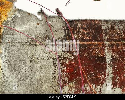 Nature abstract work on a decaying metal tank covered in snow, over grown by red branch of dogwood, texture, art, background Stock Photo