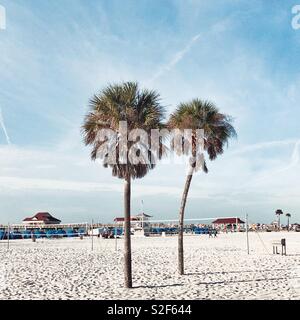 Two palm trees on the white sand of Clearwater beach in Florida Stock Photo