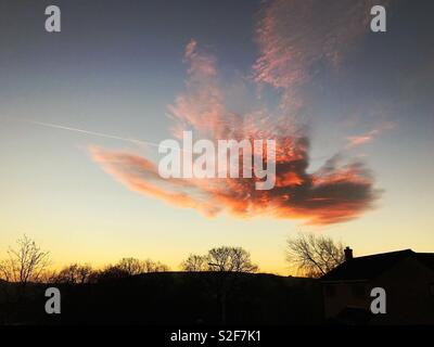 Colourful sunrise sky over houses and trees Stock Photo