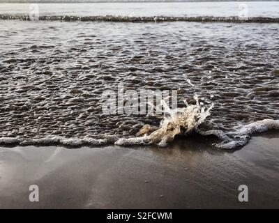 Incoming tide splashing against a pebble on the beach Stock Photo