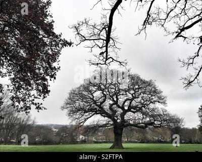 Mountsfield Park in Lewisham London in England Stock Photo