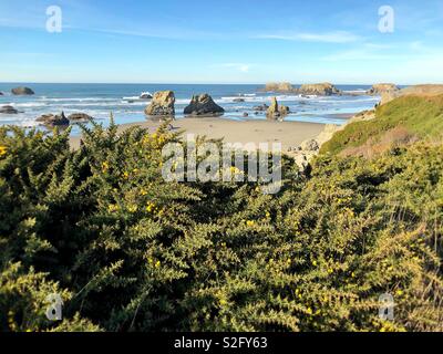 View from above of Face Rock beach in Bandon, Oregon, USA. Stock Photo