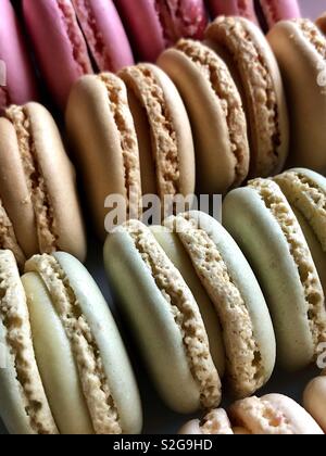 Rows of pastel macarons Stock Photo